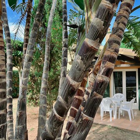 דירות Bungalow Tropical Nº6 - סון קסוריגואה מראה חיצוני תמונה